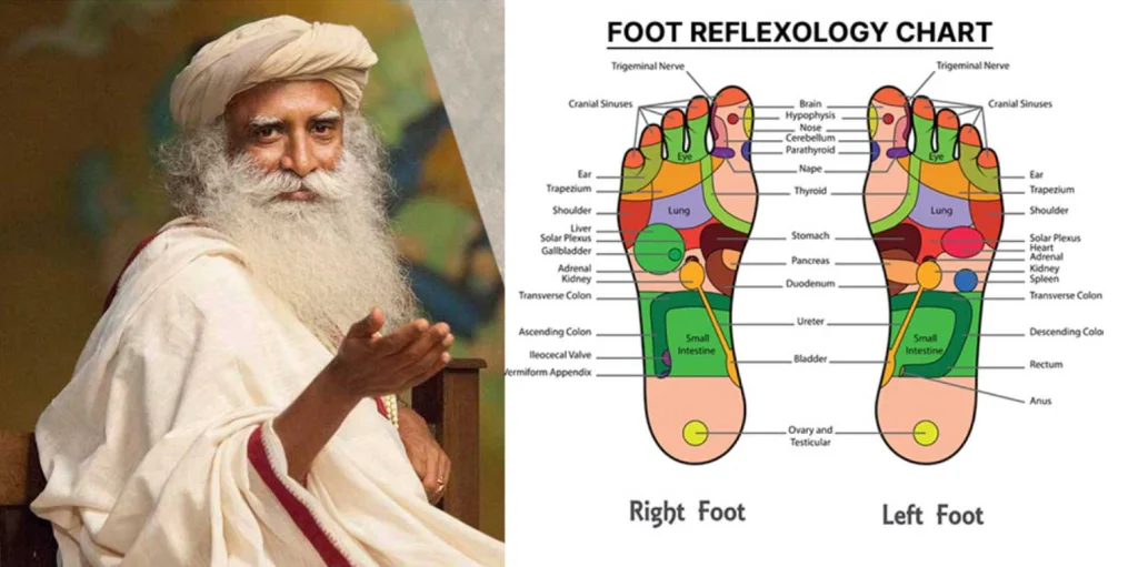 Reflexology and Indian person